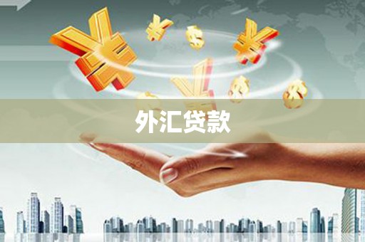 桂林外汇贷款