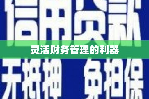 桂林灵活财务管理的利器