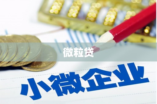 桂林微粒贷