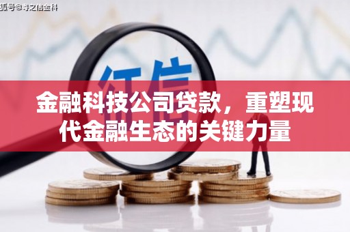 桂林金融科技公司贷款，重塑现代金融生态的关键力量