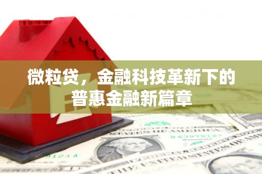 桂林微粒贷，金融科技革新下的普惠金融新篇章