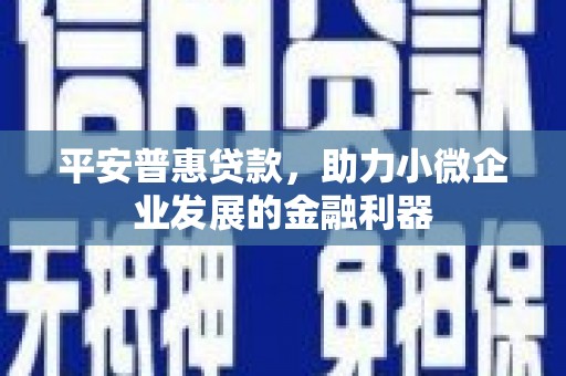 桂林平安普惠贷款，助力小微企业发展的金融利器