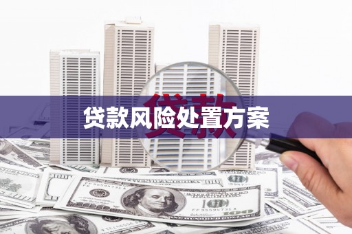 桂林贷款风险处置方案