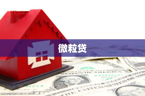 桂林微粒贷